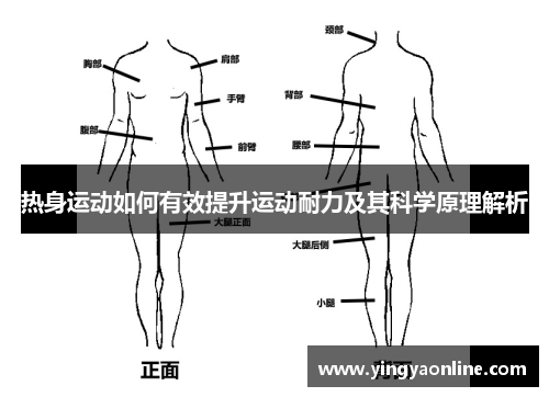 热身运动如何有效提升运动耐力及其科学原理解析