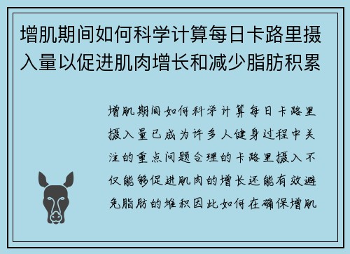 增肌期间如何科学计算每日卡路里摄入量以促进肌肉增长和减少脂肪积累