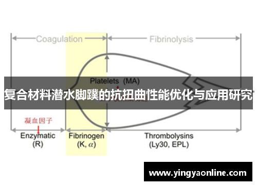 复合材料潜水脚蹼的抗扭曲性能优化与应用研究