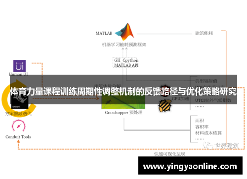 体育力量课程训练周期性调整机制的反馈路径与优化策略研究