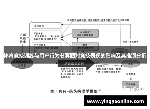 体育竞技训练与用户行为节奏图对竞技表现的影响及其推演分析