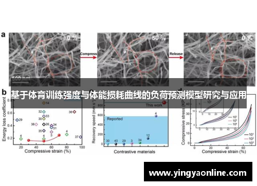 基于体育训练强度与体能损耗曲线的负荷预测模型研究与应用